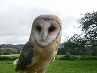 (182 von 243) : KIGA Hausen Waldwoche